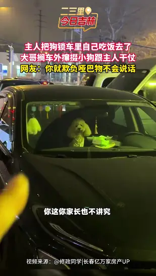 主人把狗放车里自己进店吃饭，大哥路过教唆狗“出来掏他”，网友：欺负哑巴物有罪