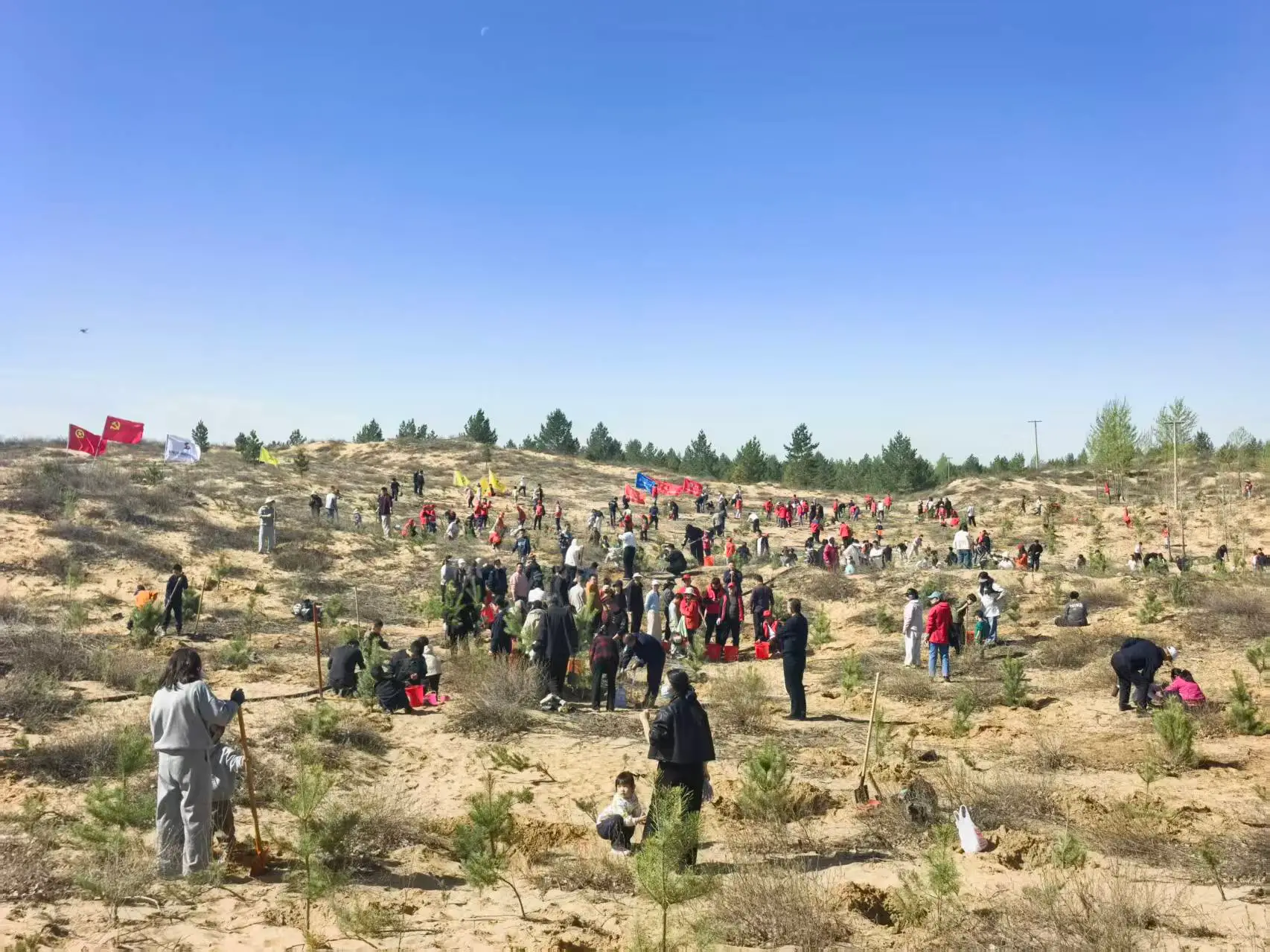 “绿动榆阳”十五载：300组家庭挥锹播绿，沙地再添新林