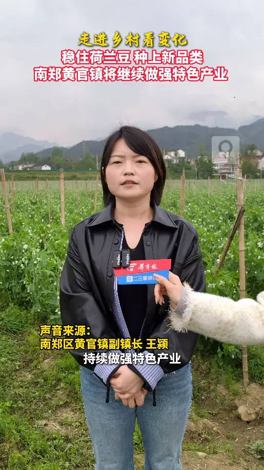 走进乡村看变化|南郑黄官镇将继续做强特色产业