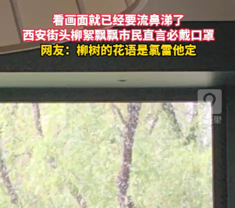 西安街头柳絮飘飘市民直言必戴口罩，柳树的花语是氯雷他定？