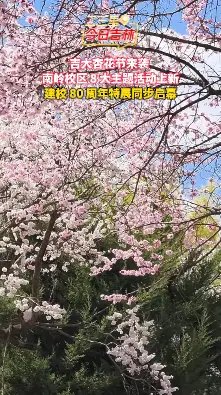 吉林大学南岭校区杏花节盛大开幕，80周年校庆等你来！