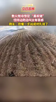 消防员救火撞见 “炭烤小猪”，火急火燎尖叫逃窜