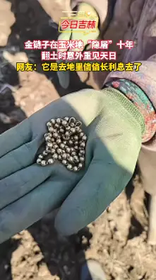 十年前收玉米不慎遗失金链，如今春耕翻地竟失而复得 