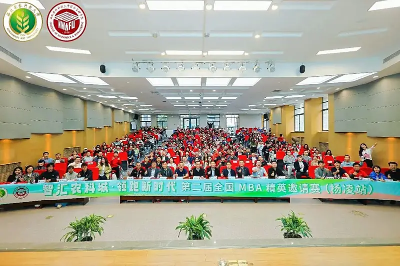 乘杨马东风 御招引新机