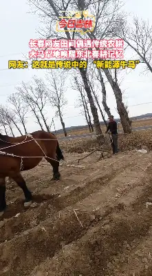马车犁地的老把式，你见过吗？