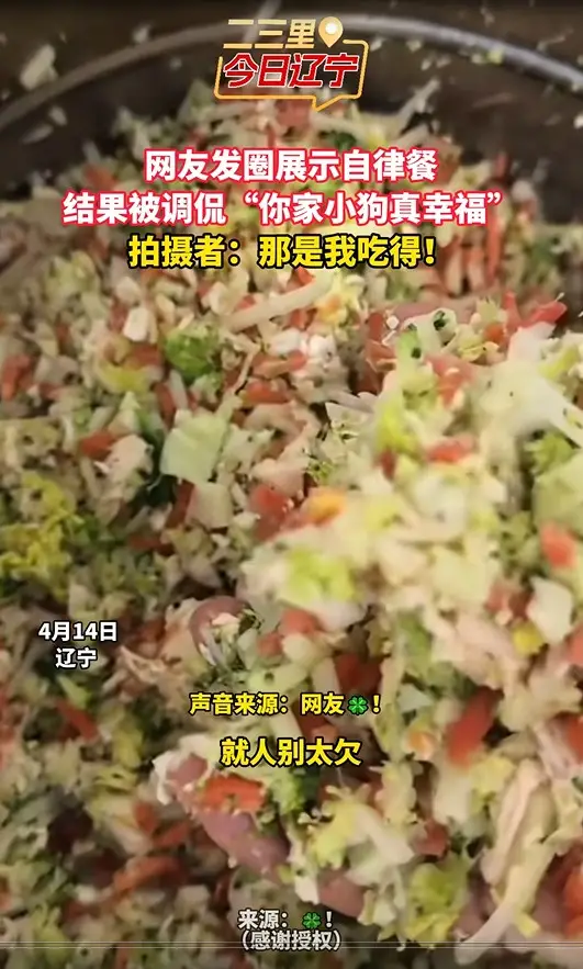 网友发圈展示自律餐 结果被调侃“你家小狗真幸福” 拍摄者：那是我吃得！