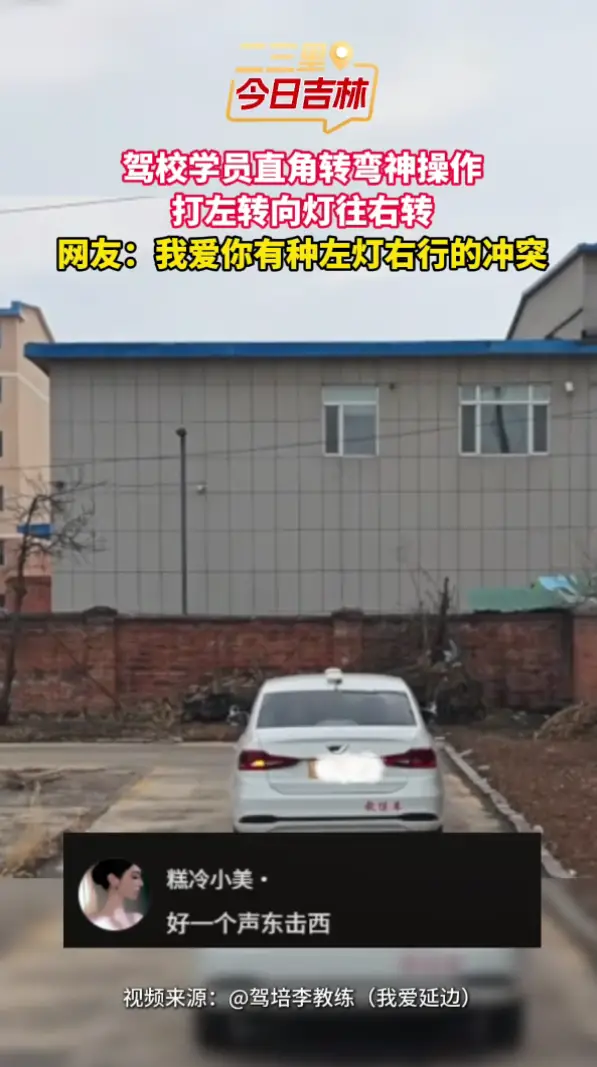 延边驾校学员神操作，打左灯往右拐，教练血压直接拉满