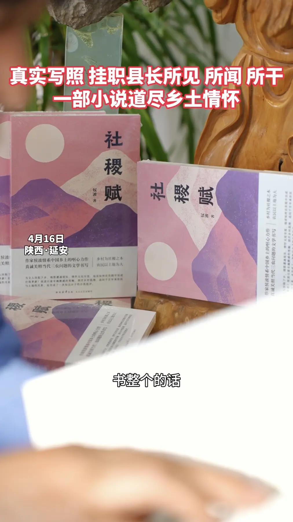 真实写照，挂职县长所见、所闻、所干，一部小说道尽乡土情怀