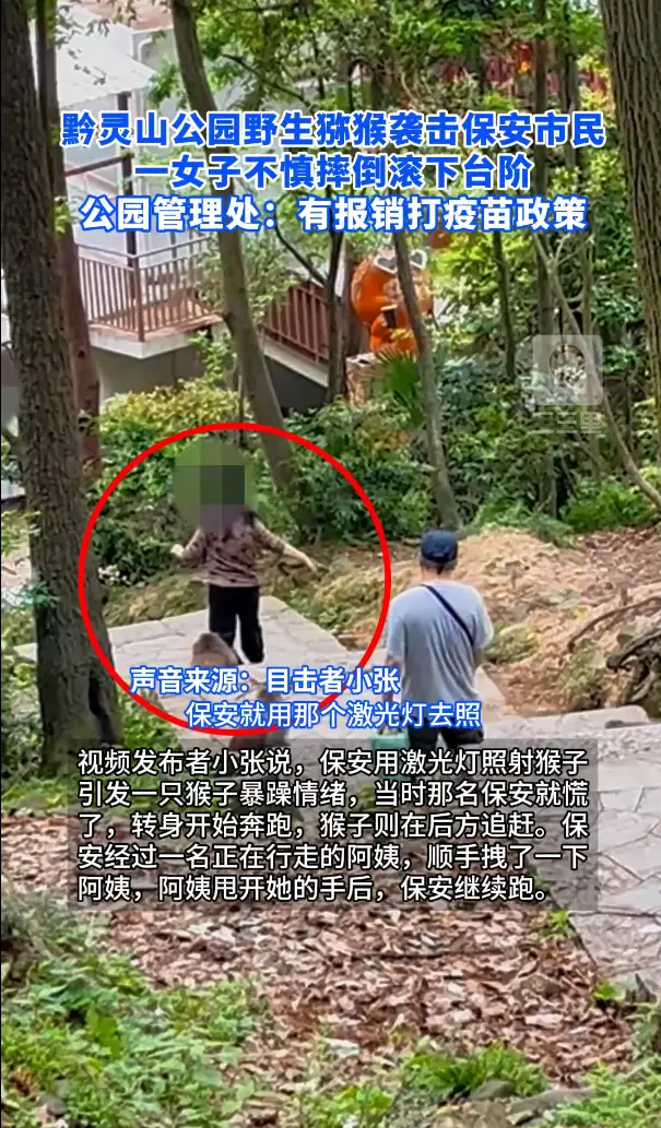 黔灵山公园野生猕猴袭击保安市民，公园管理处：有报销打疫苗政策