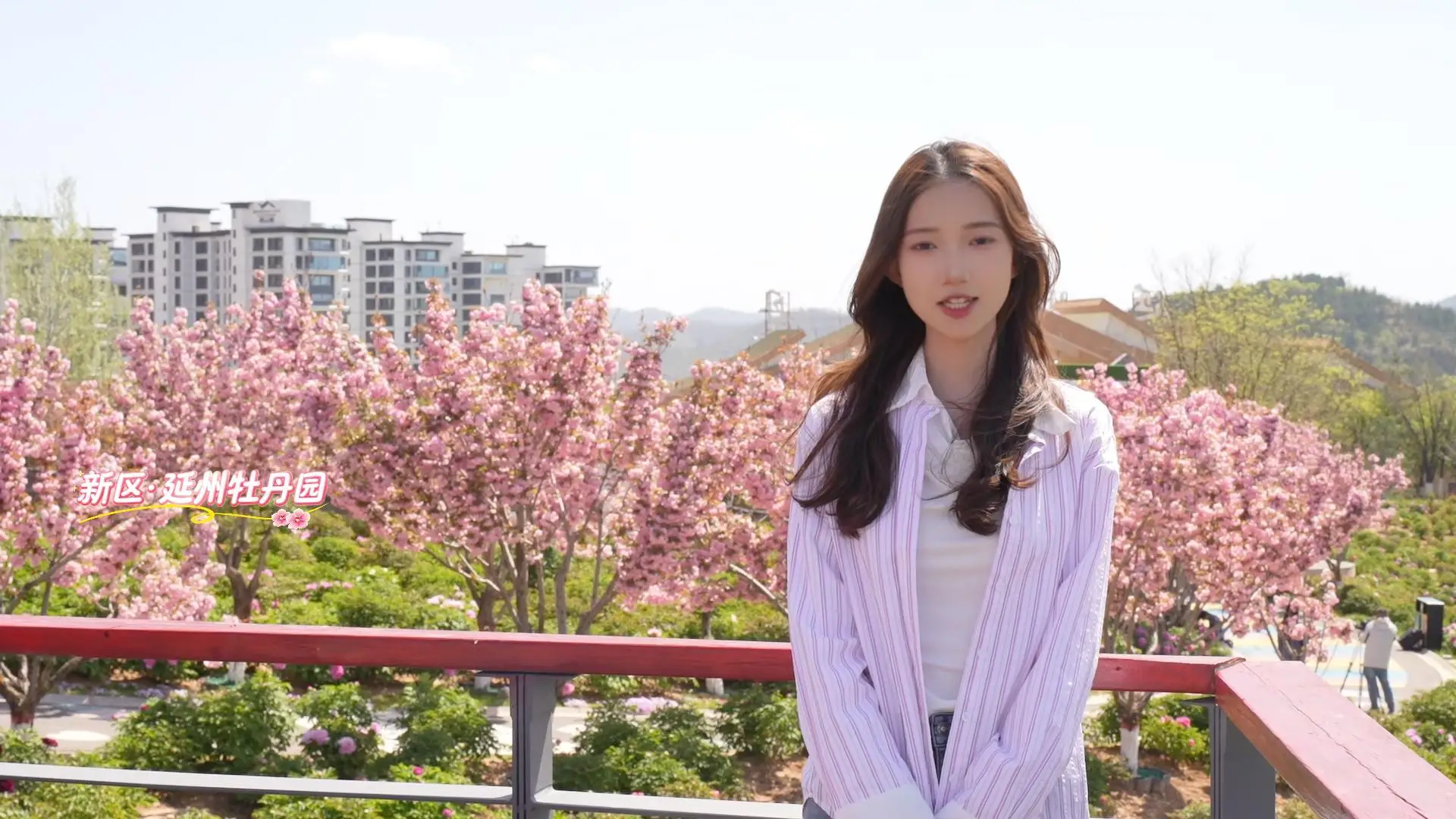 4月18日延州牡丹园正式开园