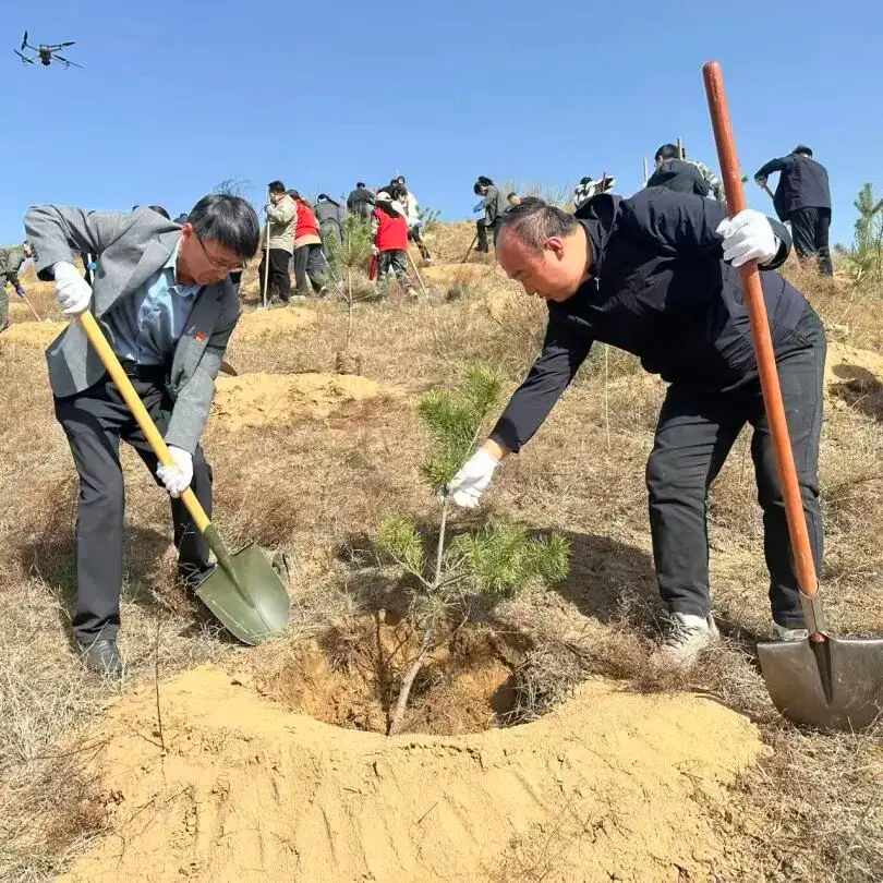 府谷县教体局机关党支部开展义务植树主题党日活动