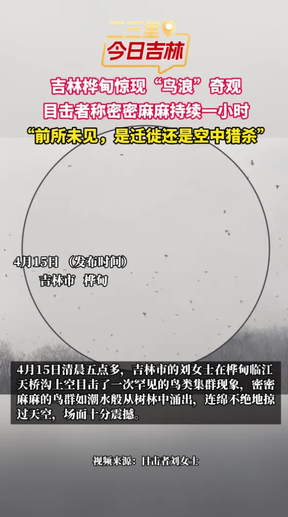 吉林桦甸惊现“鸟浪”奇观！