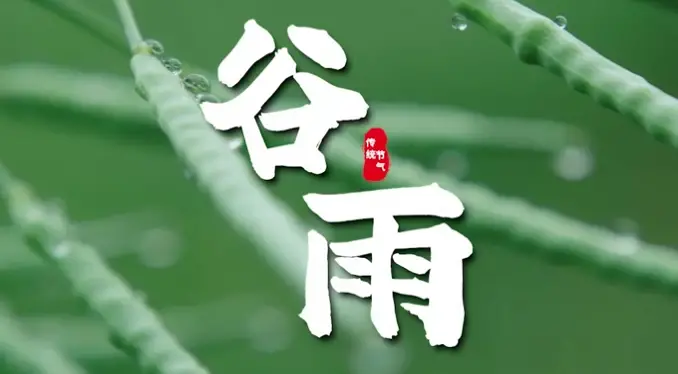 健康知识|暮春谷雨至，养生不松懈
