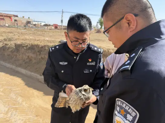 群众报警遇“萌禽” ，靖边公安民警接力护生灵