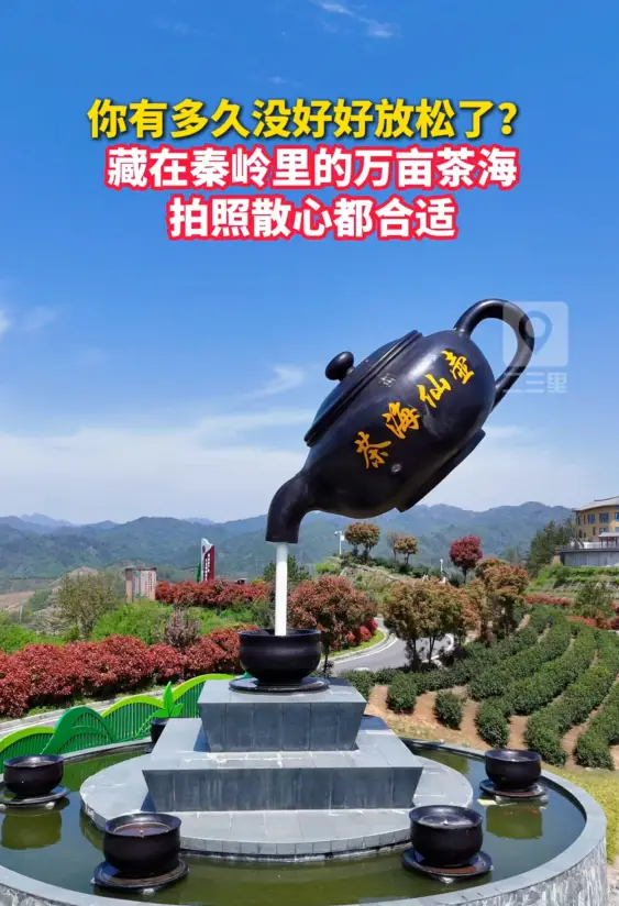 你有多久没好好放松过了？藏在秦岭里的万亩茶海，拍照散心都合适