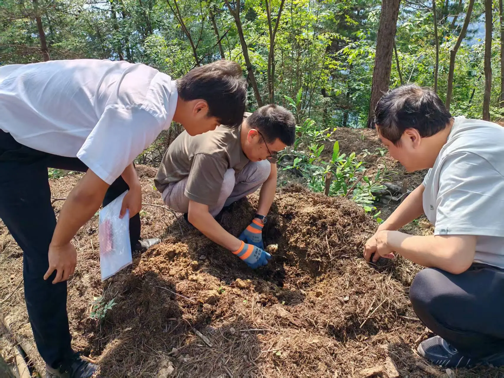 守初心 正政绩 | 助乡村致富 显大行担当