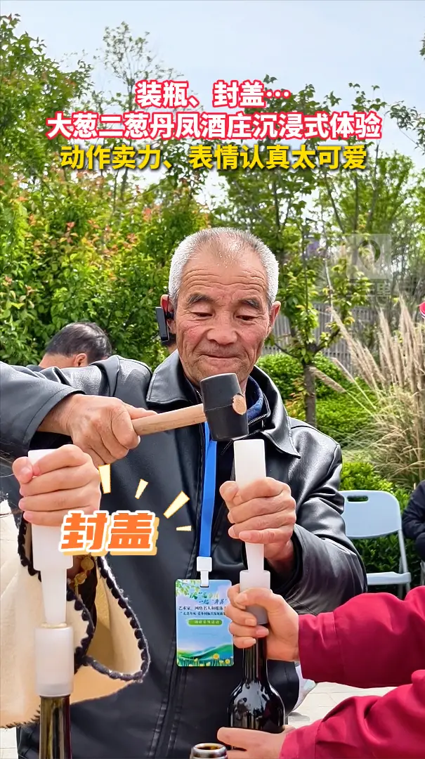 装瓶、封盖…大葱二葱丹凤酒庄沉浸式体验，动作卖力、表情认真太可爱