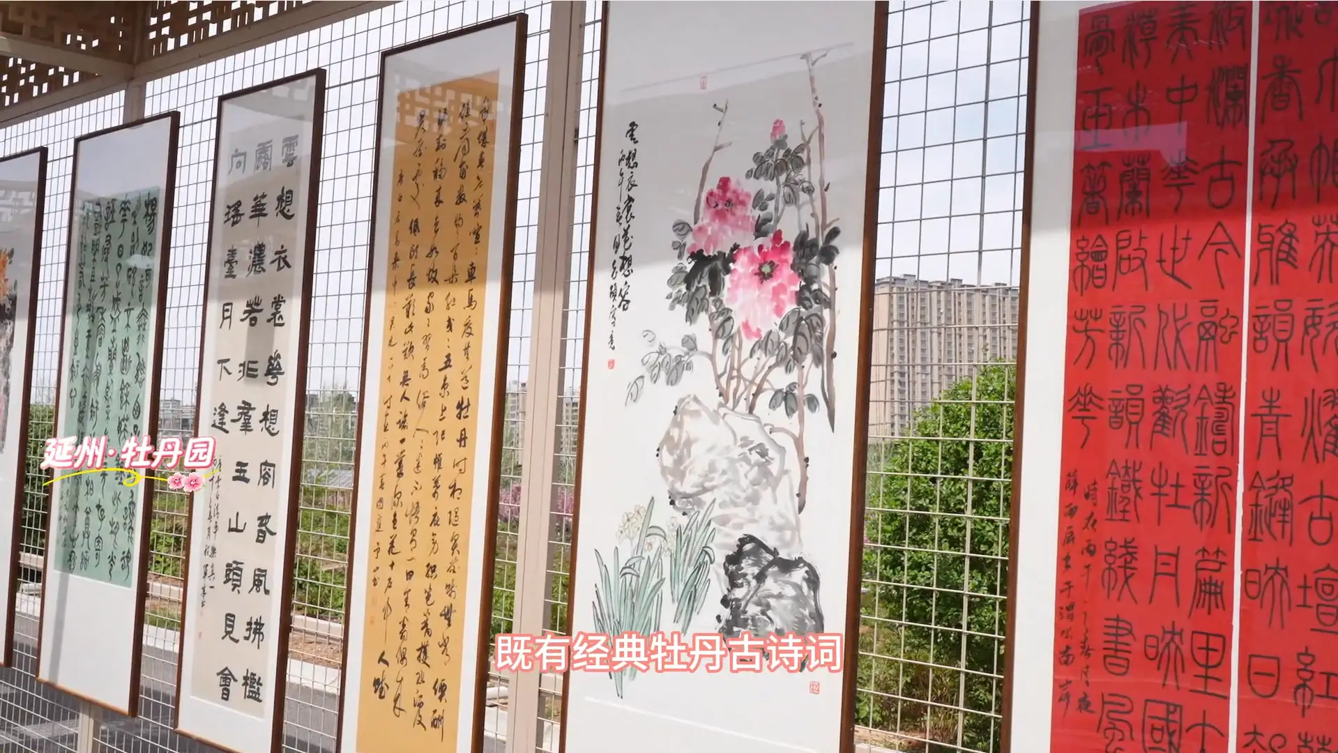 牡丹园不止有国色天香，更有“别开生面”的主题书画展等你打卡