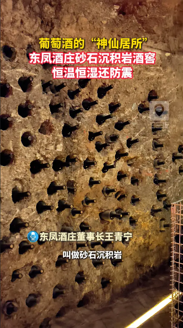 葡萄酒的“神仙居所”，东凤酒庄砂石沉积岩酒窖，恒温恒湿还防震