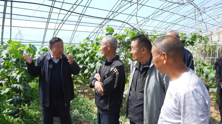 神木：农技服务进田间 科技助农促增收