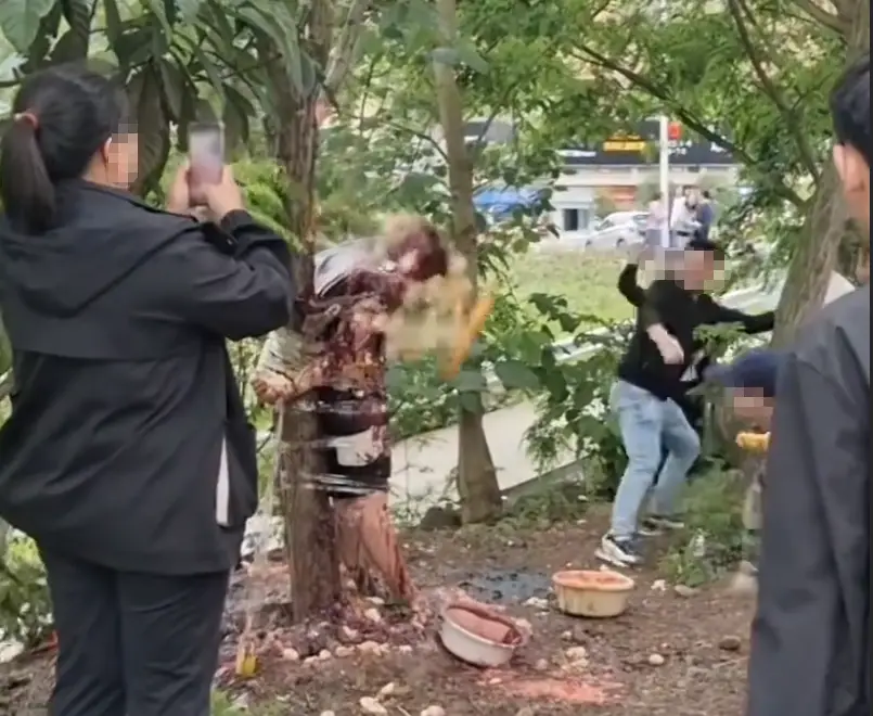 男子被扒衣绑树泼酱油扔鸡蛋，四川泸州一小区门口婚闹引争议