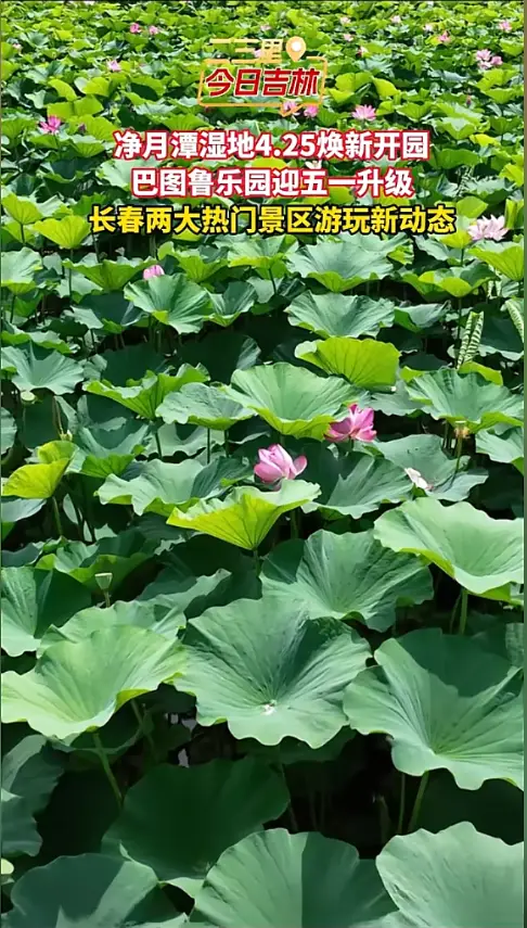 长春五一全家游好去处就选这里！净月潭湿地4.25水上竹筏已就位、莲花山巴图鲁乐园全面升级迎客。