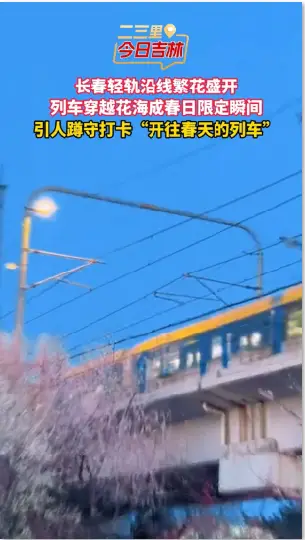 长春轻轨沿线花树正值花期，轻轨驶过烂漫花海，成为春日限定的视觉画面。