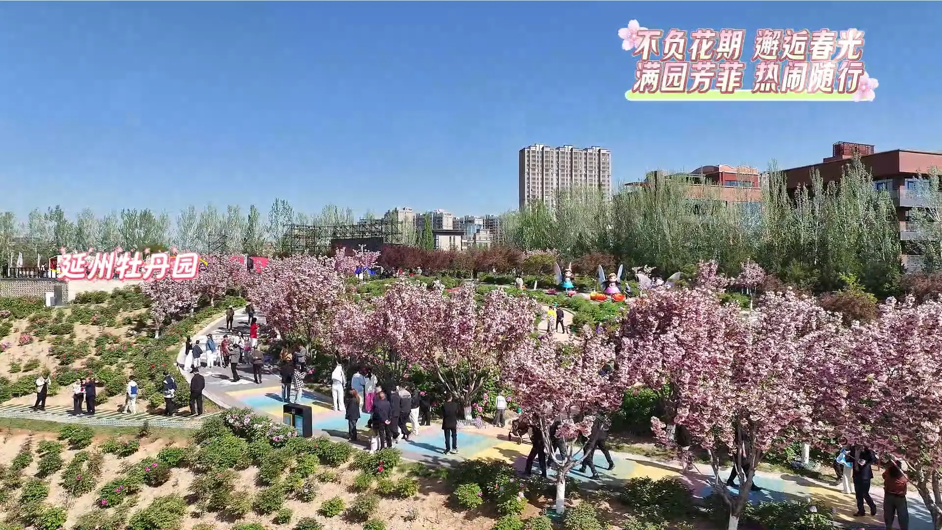 周末的牡丹园，褪去静谧，满是热闹与欢喜。园内人气持续高涨，处处烟火升腾、生机盎然，赏花游园，不负大好春光