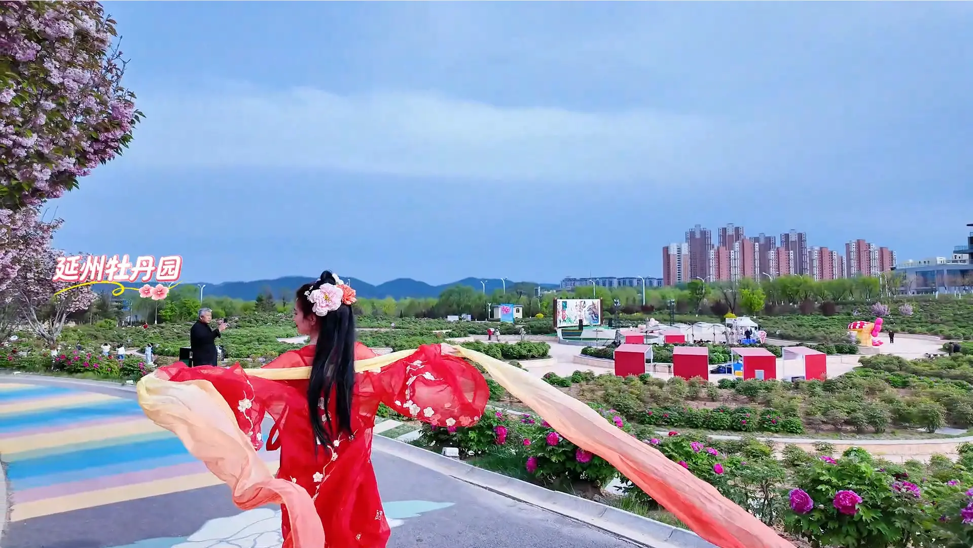 一封来自牡丹园的春日邀请函~ 牡丹盛放 满城芬芳  诚邀全市人民共赴花海