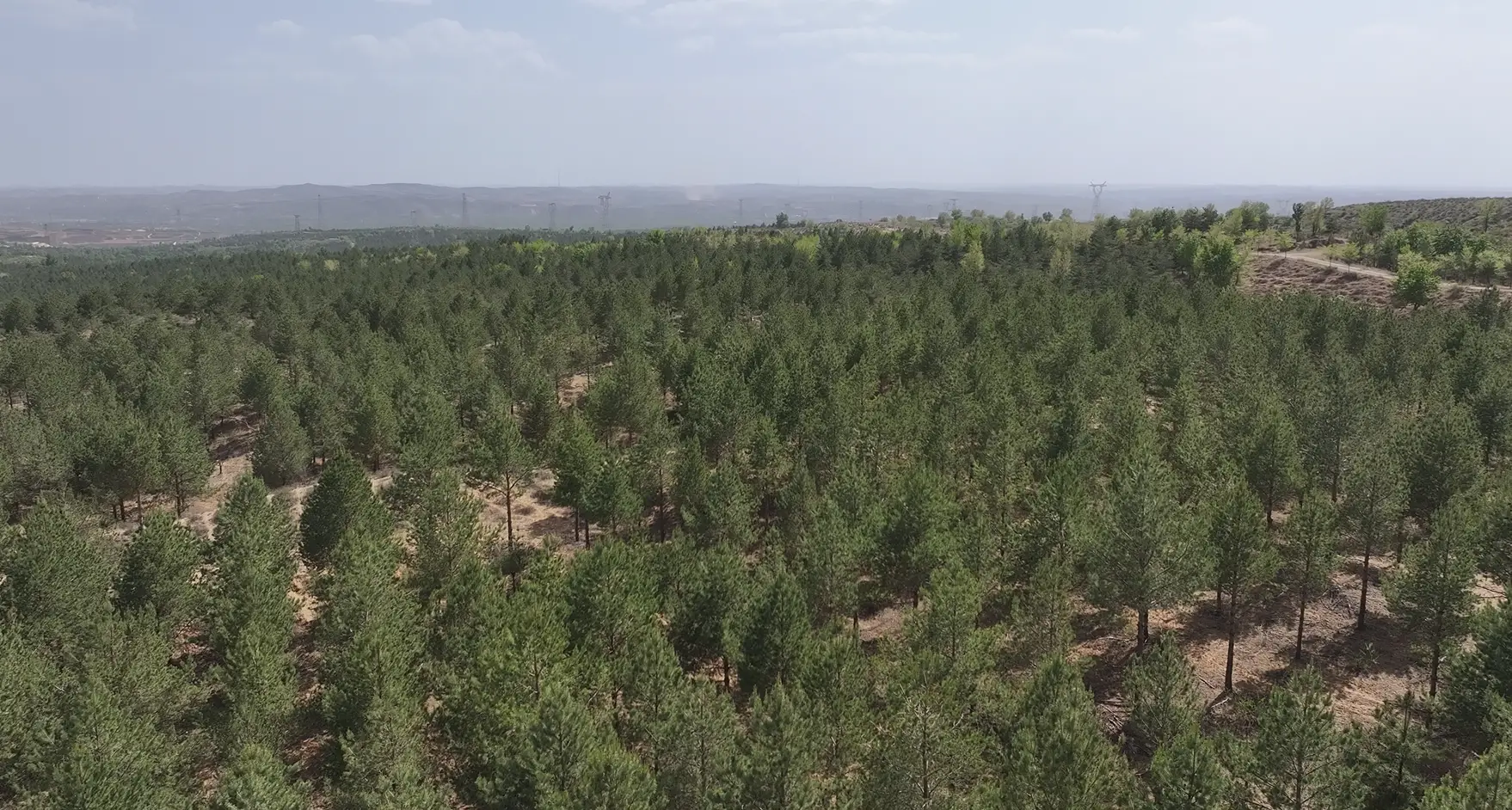 榆林人靠实干治沙，沙窝窝变绿洲，还能在家门口赚钱