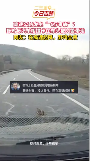 野鸡横穿高速公路“碰瓷”失败，卡在车头直达收费站被交警提走。