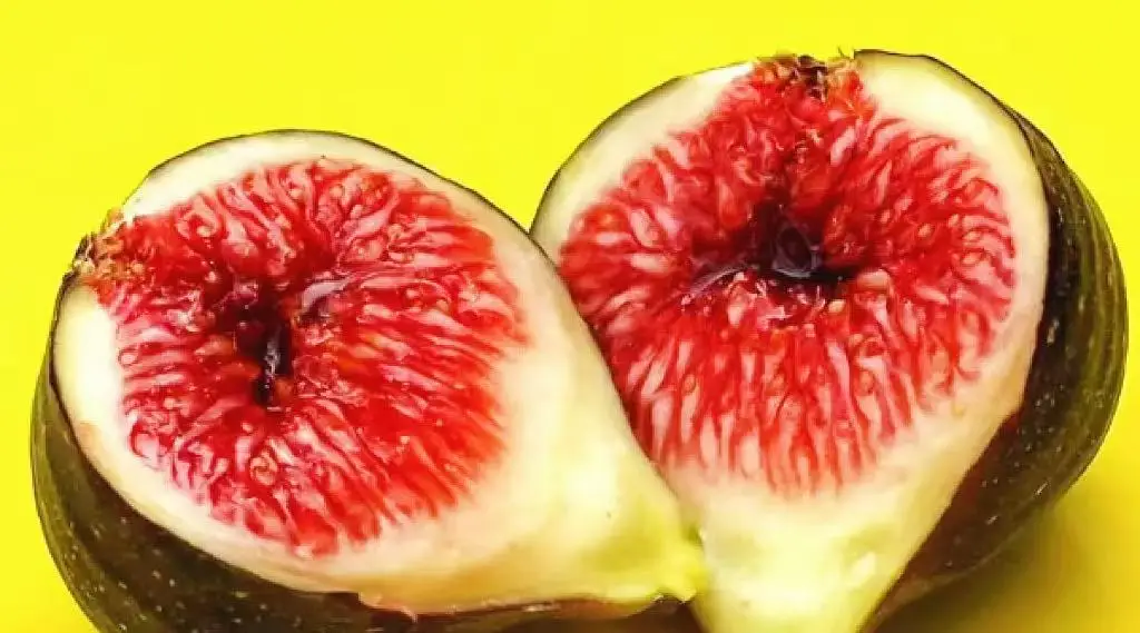 陕农大联合选育的四个林木品种通过省级林木良种审定