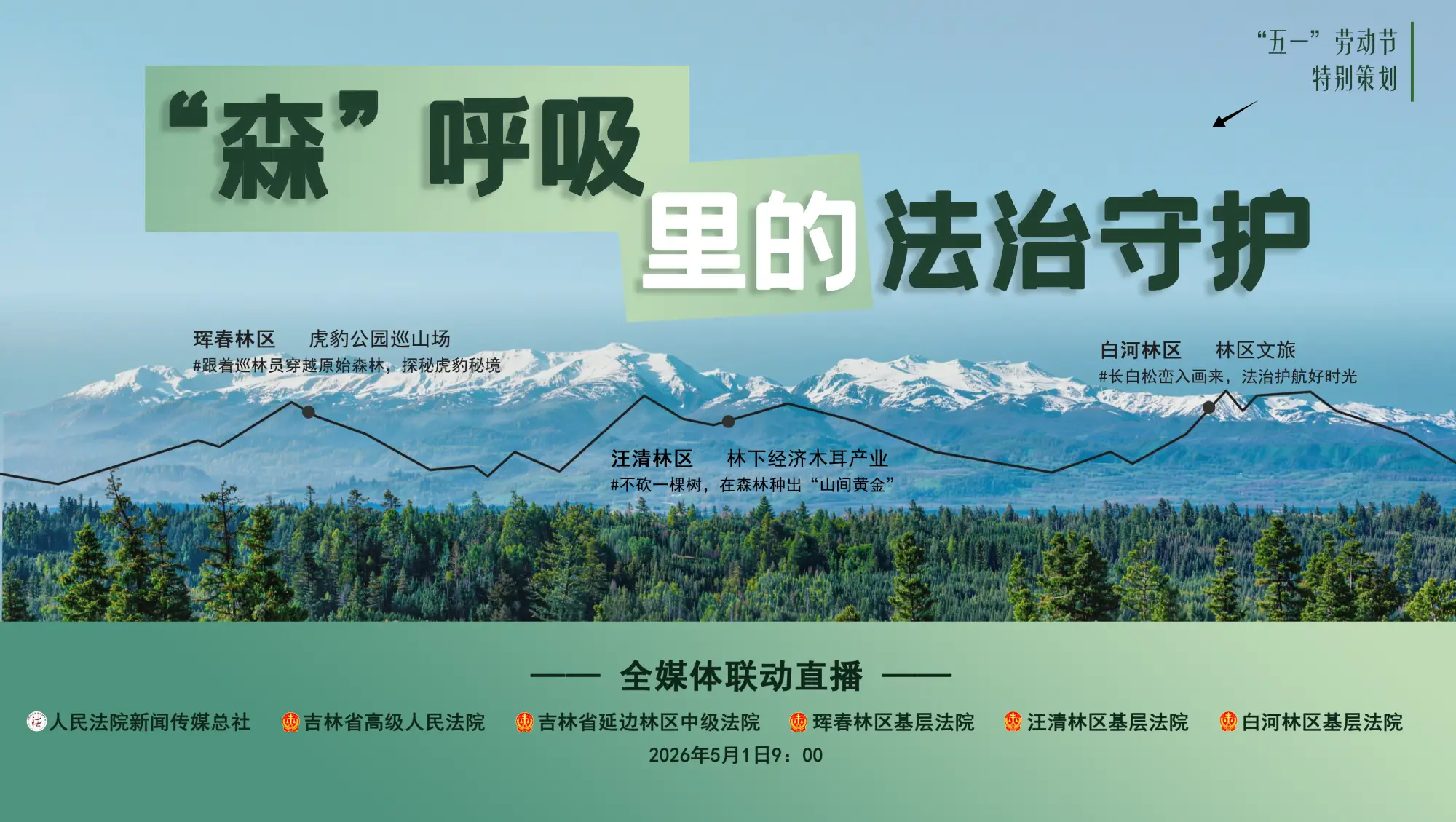 “森”呼吸里的法治守护，赴一场跨越林海的春日之约