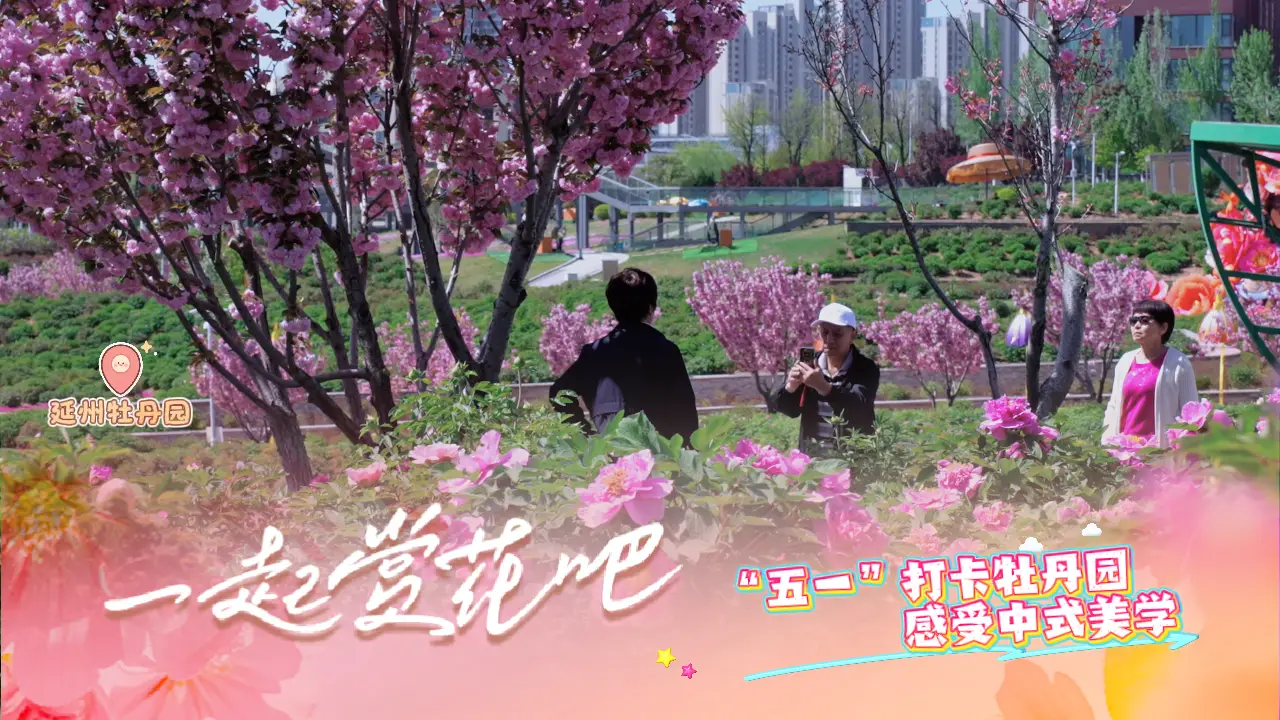 这个"五一"，不必远行，来延州牡丹园，也能看尽"唯有牡丹真国色"