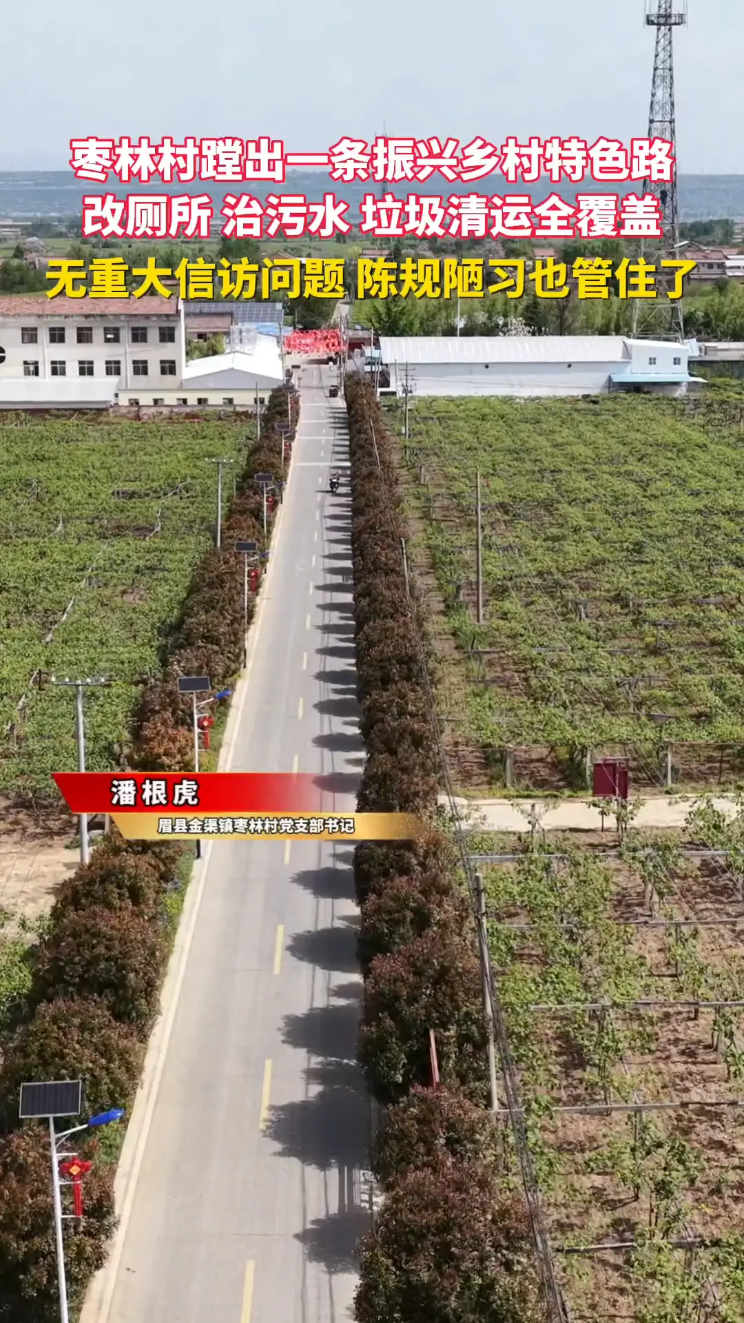 枣林村蹚出一条振兴乡村特色路 改厕所治污水垃圾清运全覆盖
