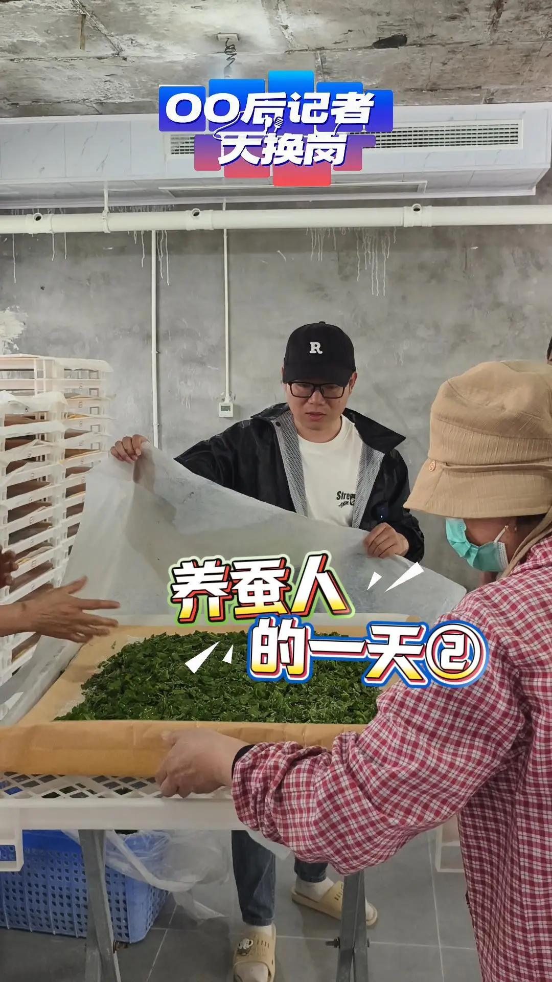 致敬劳动者！记者实地沉浸式体验养蚕人的一天