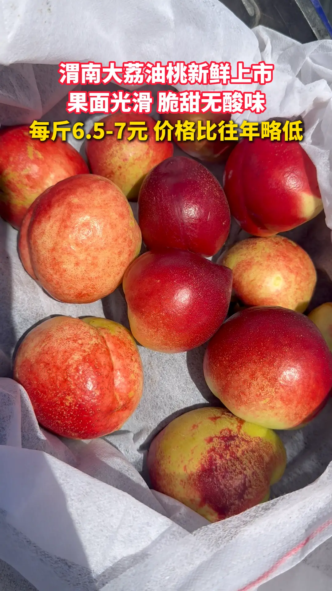 渭南大荔油桃新鲜上市 ，脆甜无酸味，每斤6.5-7元价格比往年略低