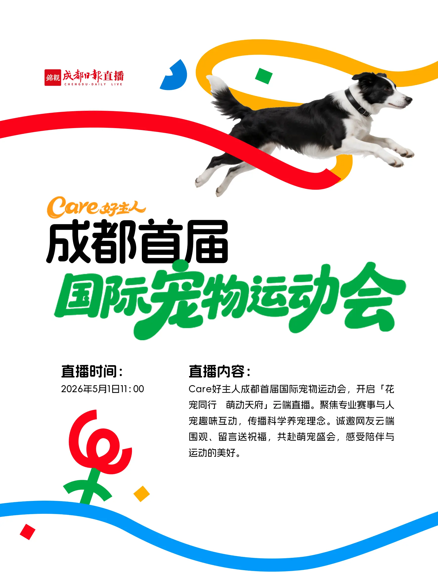 成都首届国际宠物运动会