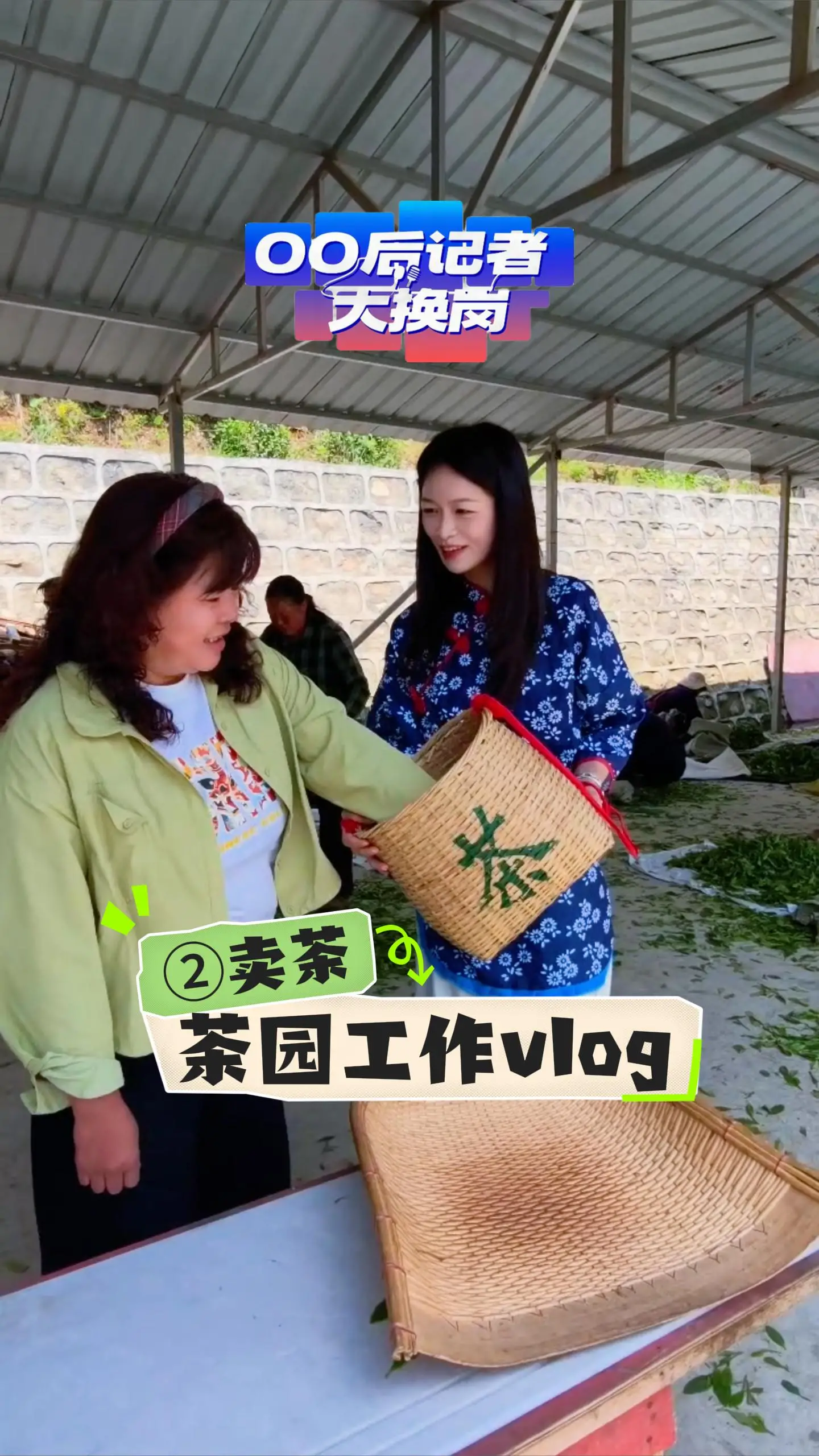 茶园工作vlog②记者开启沉浸式采茶，把茶交给老板时也算是小有收获