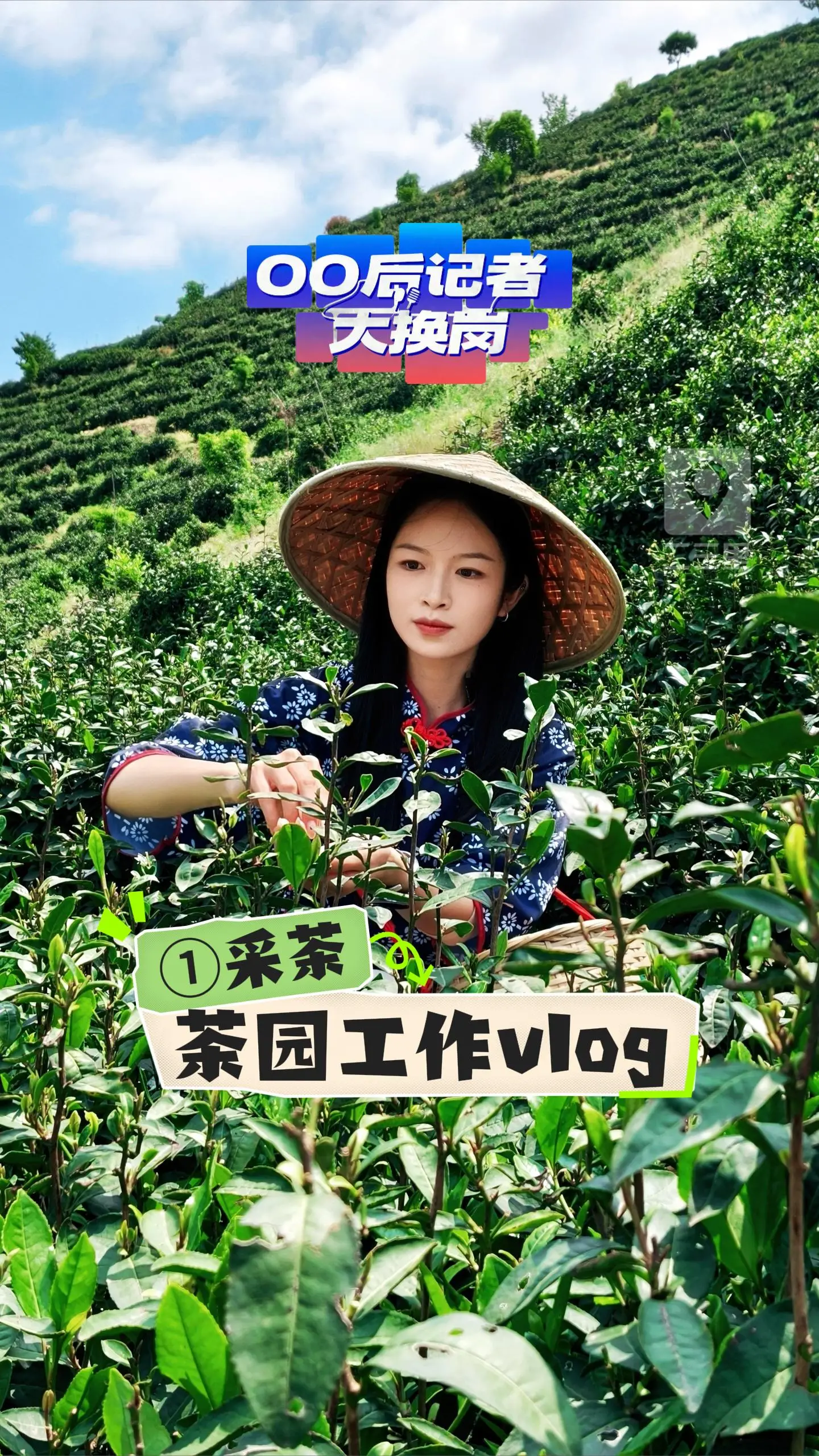 “优质茶要一芽一叶” ，00后记者换岗体验茶园工作volg①采茶