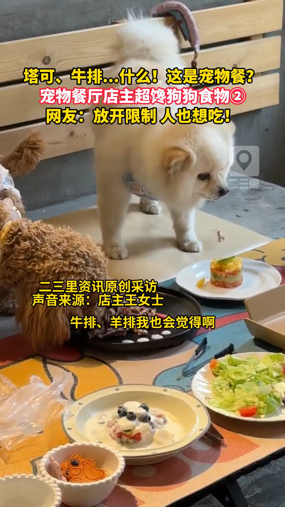 宠物餐厅店主表示也超馋狗狗食物
