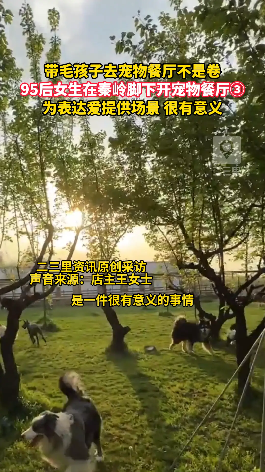 95后女生在秦岭脚下开宠物餐厅