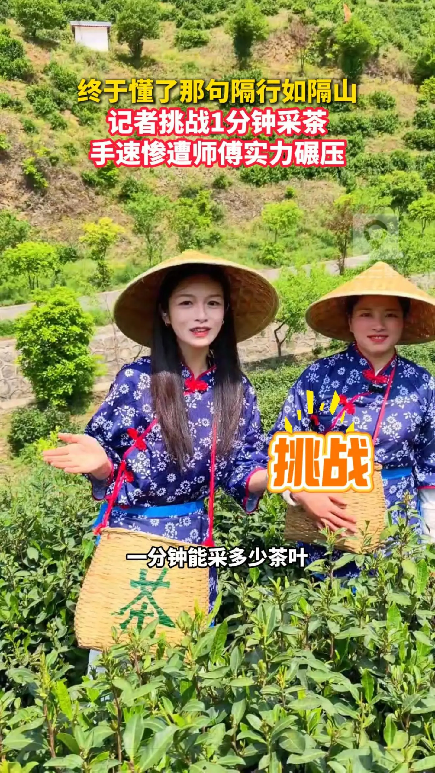 果然是隔行如隔山！记者挑战1分钟采茶，手速惨遭老师傅实力碾压