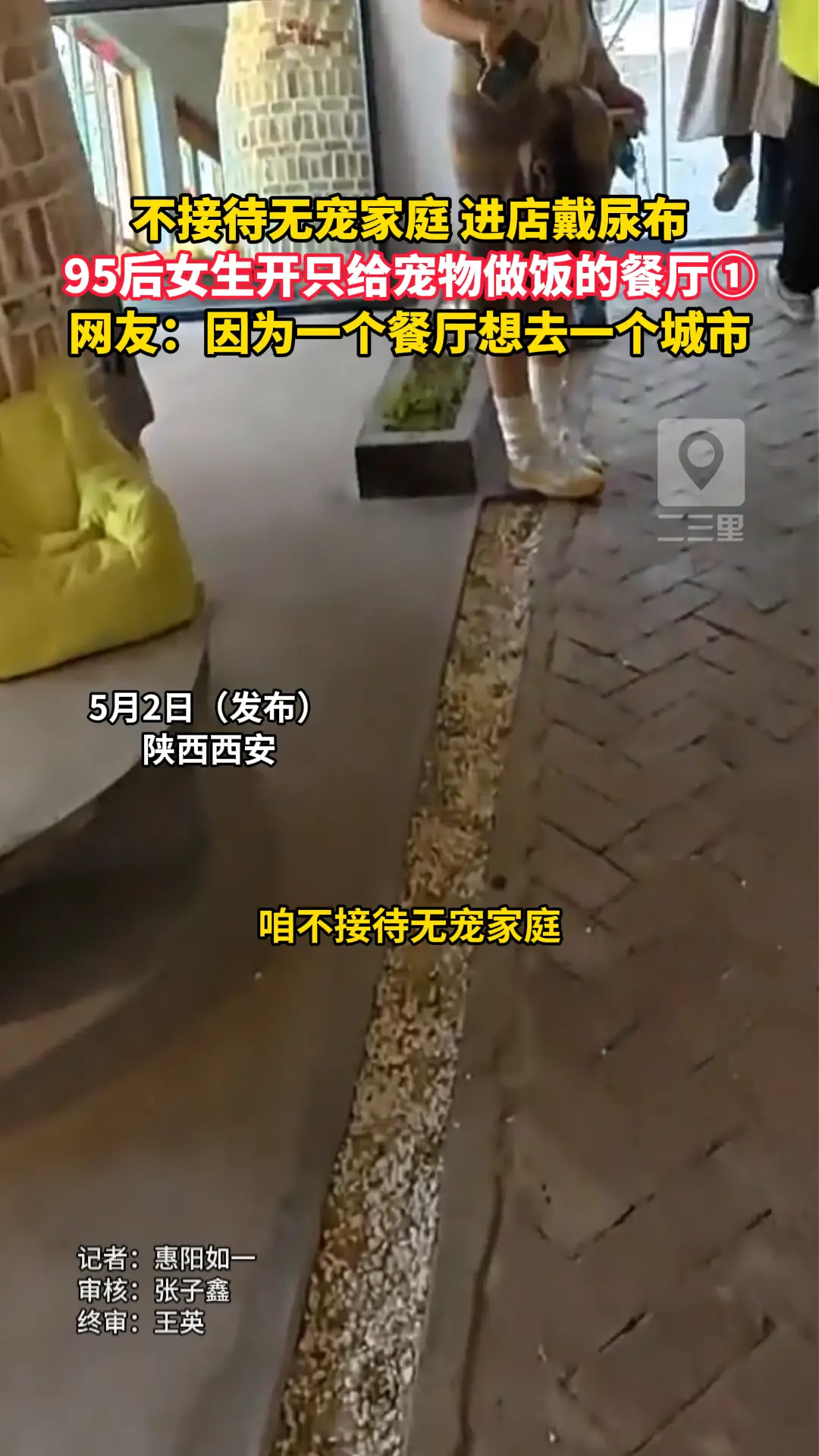 95后女生开了一家只给宠物做饭的餐厅
