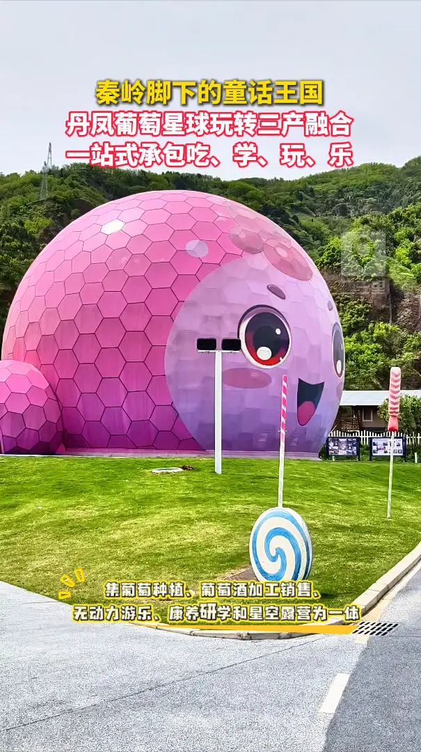 秦岭脚下的童话王国，丹凤葡萄星球玩转三产融合，一站式承包吃、学、玩、乐