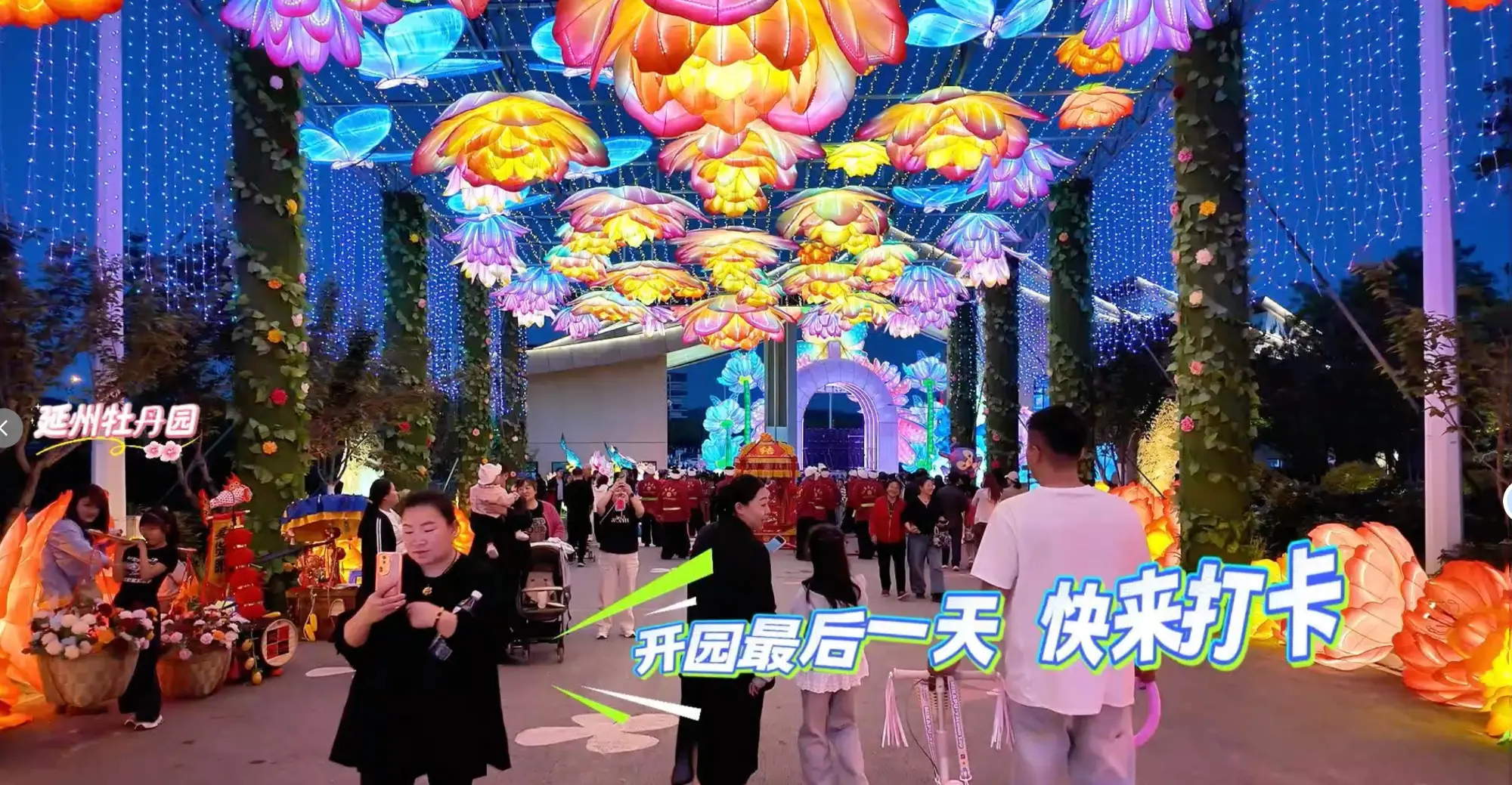 收官日人气爆棚，牡丹花期虽近尾声，游客热情依旧高涨