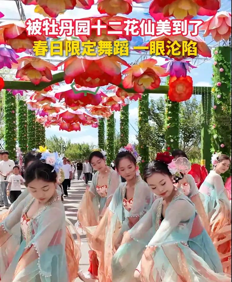 被牡丹园十二花仙美到了春日限定舞蹈一眼沦陷