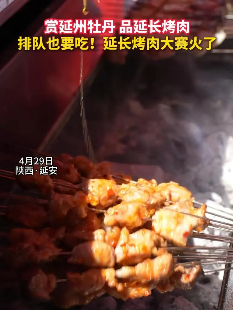 赏延州牡丹品延长烤肉排队也要吃!延长烤肉大赛火了