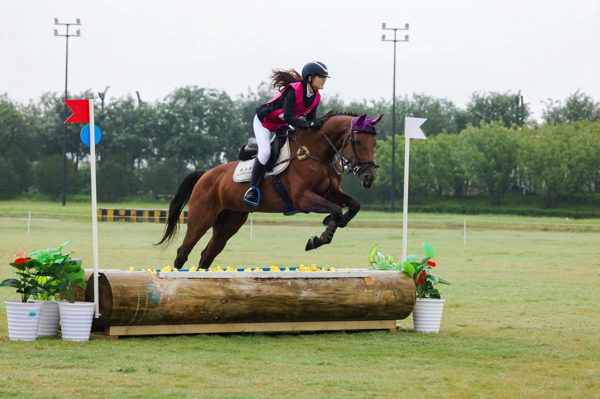 马跃长安心驰丝路  国际马联CSI2*2026丝路马术·西安场地障碍草地挑战赛即将开赛