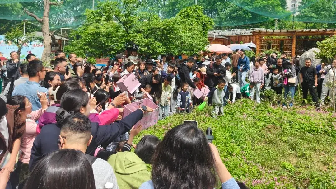 五一收官，杨凌文旅市场热力十足！